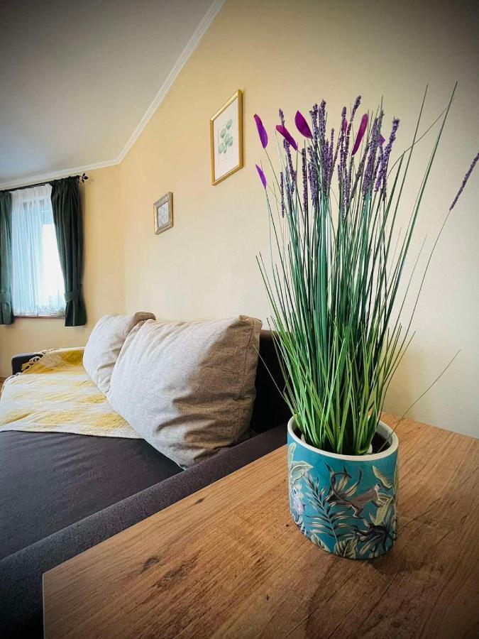 The Green Guest House Of Veliko Tarnovo-Amazing View, Top Location 외부 사진